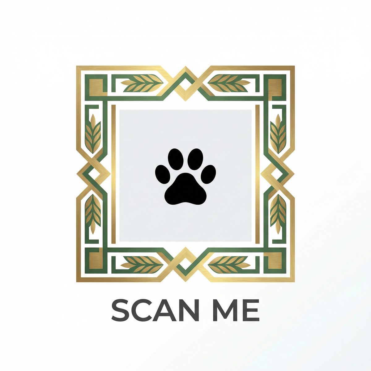 免费看片公众号